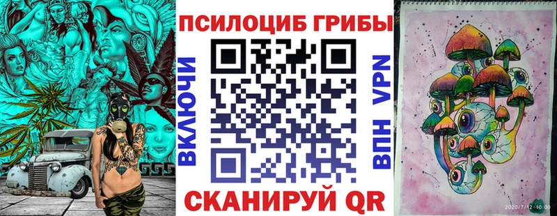 Псилоцибиновые грибы Magic Shrooms  сколько стоит  Няндома 