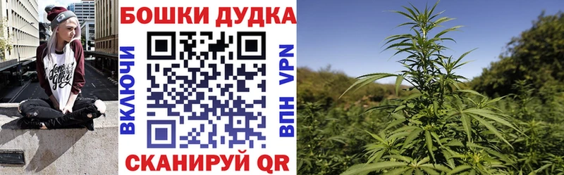 блэк спрут маркетплейс Няндома Бошки марихуана ГИДРОПОН